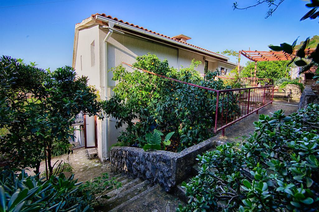 Apartments Leo Katic Lastovo Exterior photo